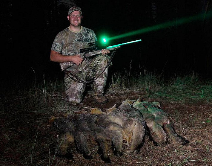 IMG_6768x700__53718.1344297280.1280