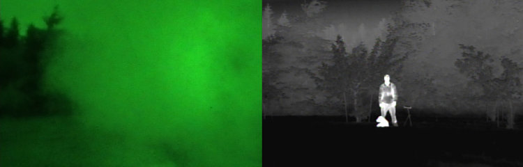 Преимущества зеленого цвета