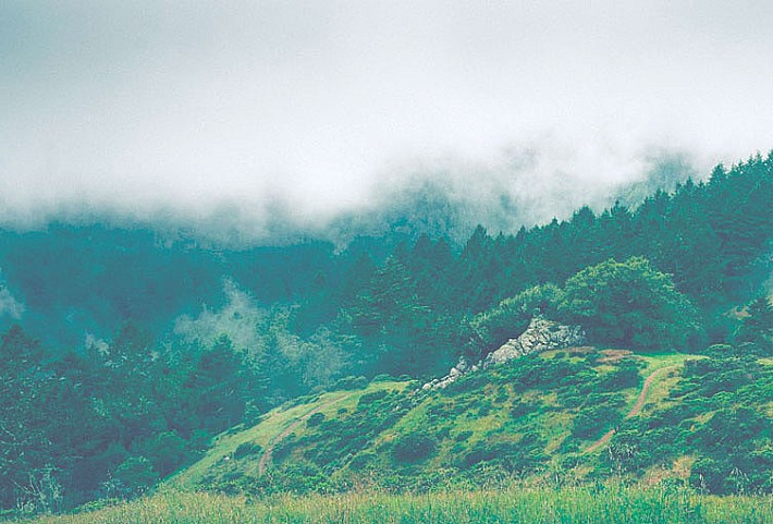 главный-лето