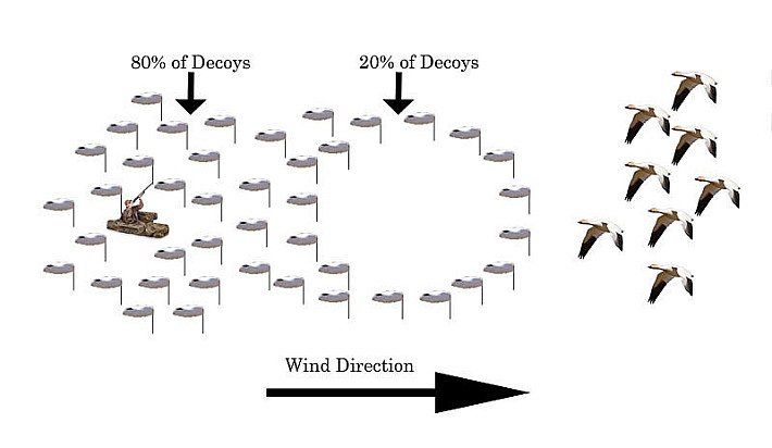 How-to-Setup-Snow-Goose-Decoys-copy