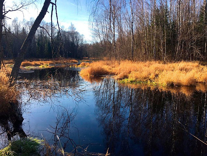 3afe8199-95de-43a3-9bf8-a6b3b26249c8