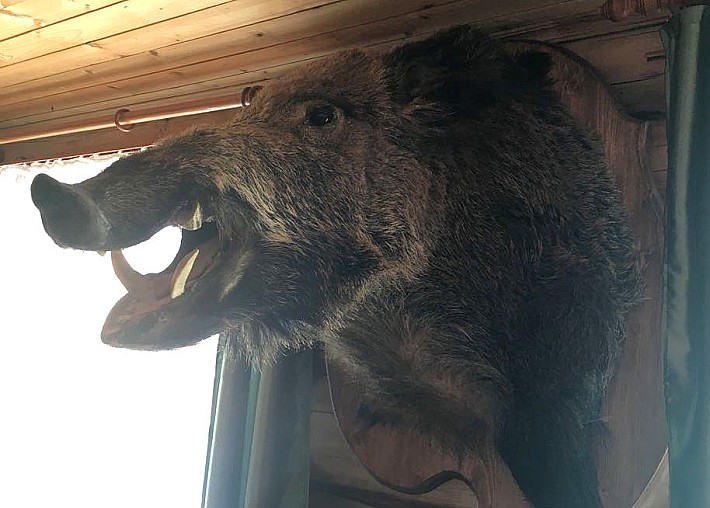 2dd2604d-fa54-498a-bd71-cbaefd43489a