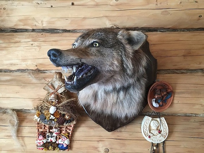 a0ae63f2-7296-4485-b09e-be7c7a9a92a0