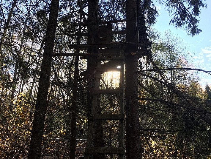 3b5bc0fc-ab55-427c-a150-ed0f6f0569b8