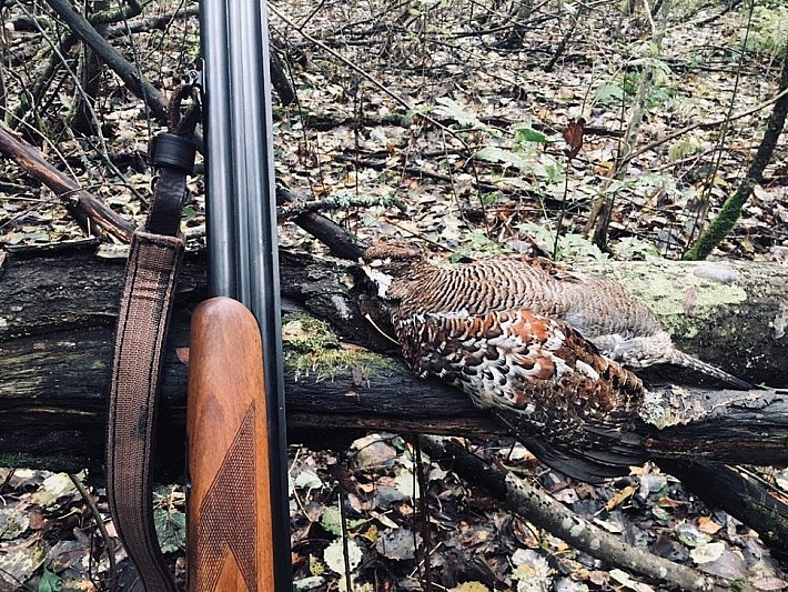 6f947bcf-c4e1-4d2f-87f7-86c6b1d5e549