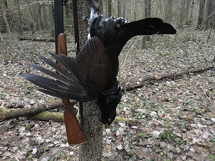 7c42c7a2-5f05-4d57-aeab-7364cebd42e7