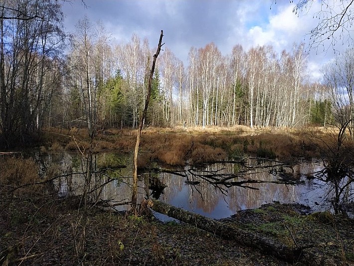 82e604fc-f70f-4e78-ba8b-e5ee37fab1bb