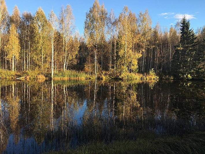 9266daf0-69b4-4dfb-8048-e9274b50b011