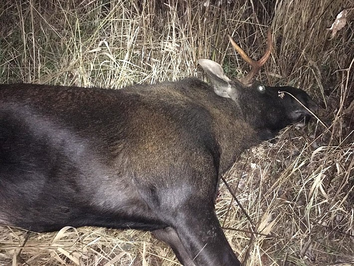 a82156b1-642b-45cb-9eb2-1ba62501beb8