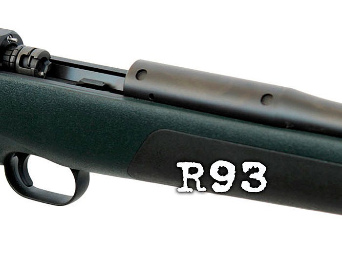 blaser-r93