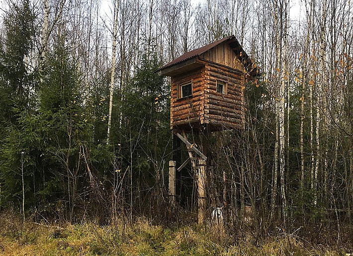 IMG_3420-28-10-18-06-32