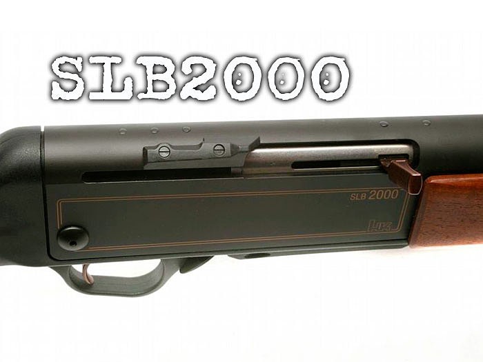 slb2000