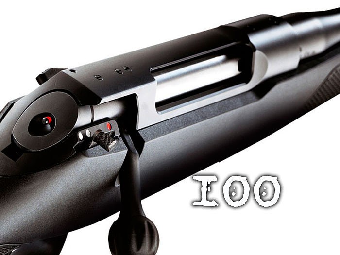 sauer-100