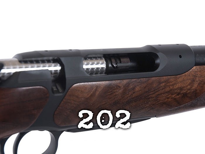 sauer-202