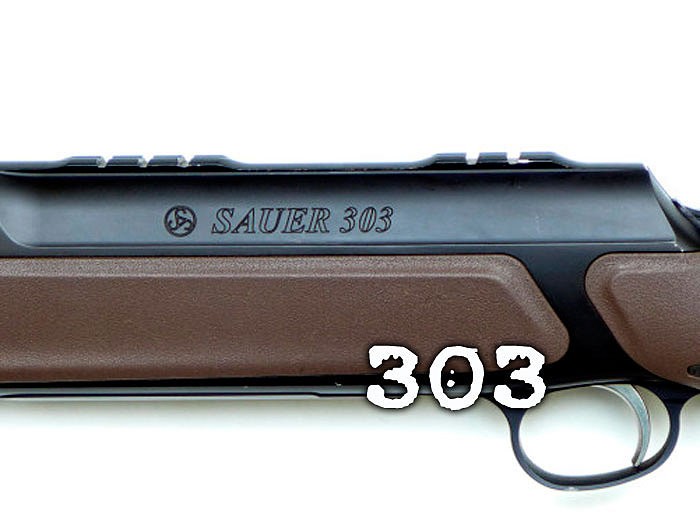 sauer-303