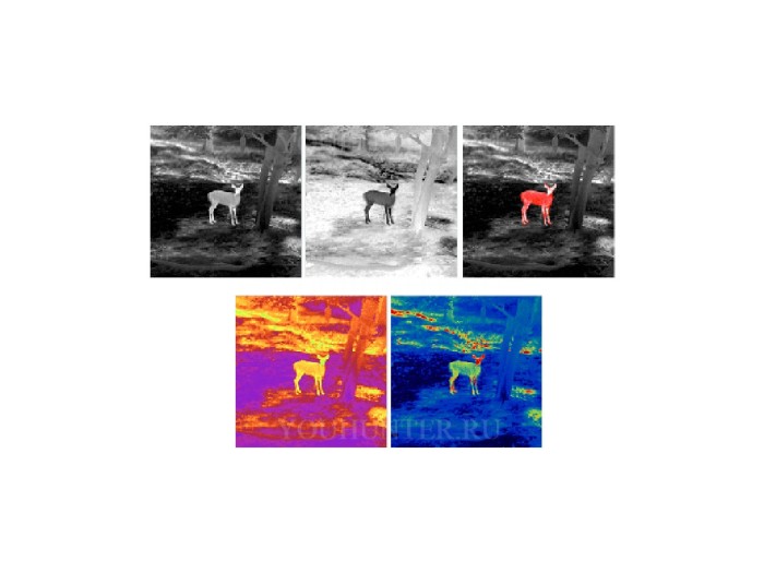 Тепловизионный монокуляр Guide TD420