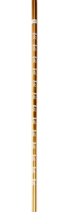 KAISER SPORT Телескопические палки для скандинавской ходьбы KAISER SPORT NORDIC WALKING GOLD SL-2B-2-135 NORDIC WALKING GOLD GOLD