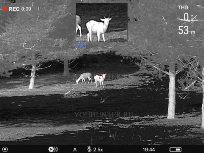 Тепловизионный монокуляр PULSAR Telos LRF XG50 (640 матрица, с дальномером)