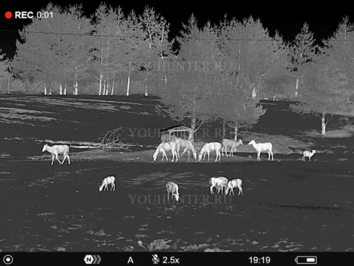 Тепловизионный монокуляр PULSAR Telos LRF XG50 (640 матрица, с дальномером)