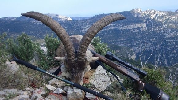 Опора для оружия Knobloch-Jagd MONOPOD CORK-GRIP