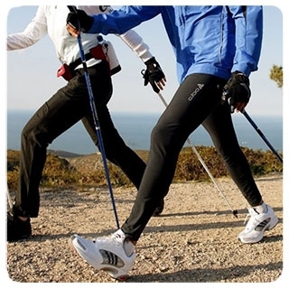 Скандинавские палки